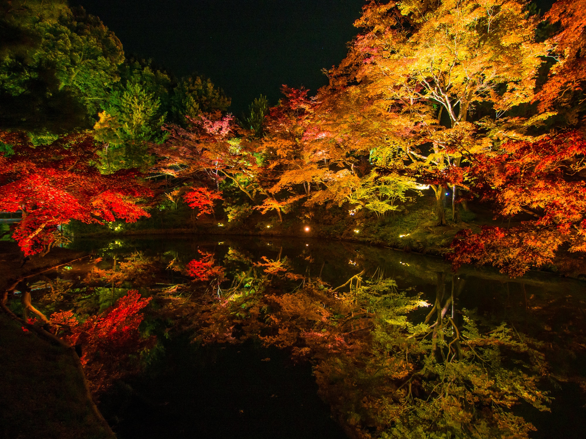 高台寺　紅葉