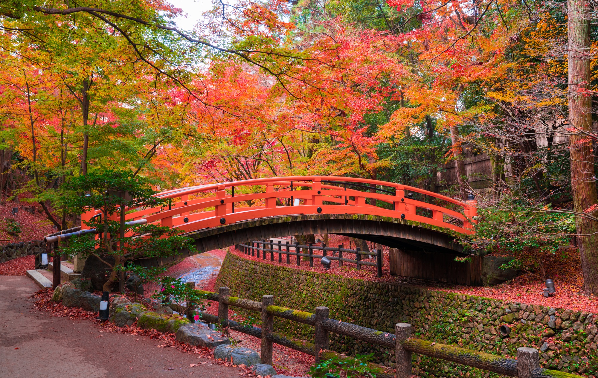 北野天満宮　紅葉