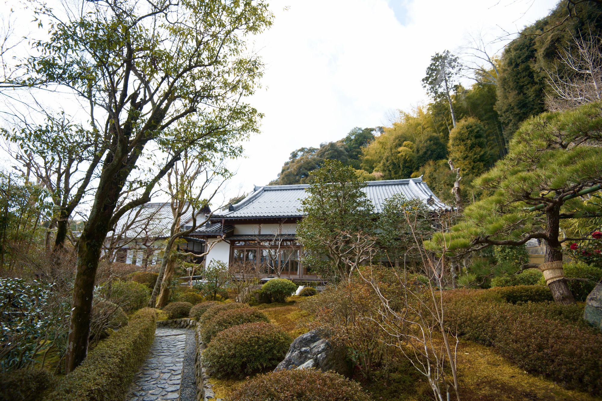 鈴虫寺