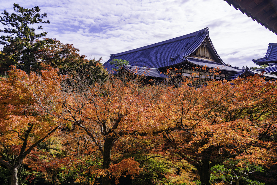 東福寺について