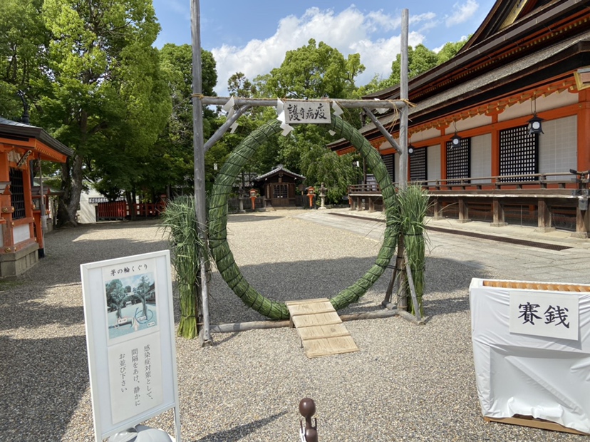 茅,茅の芽,