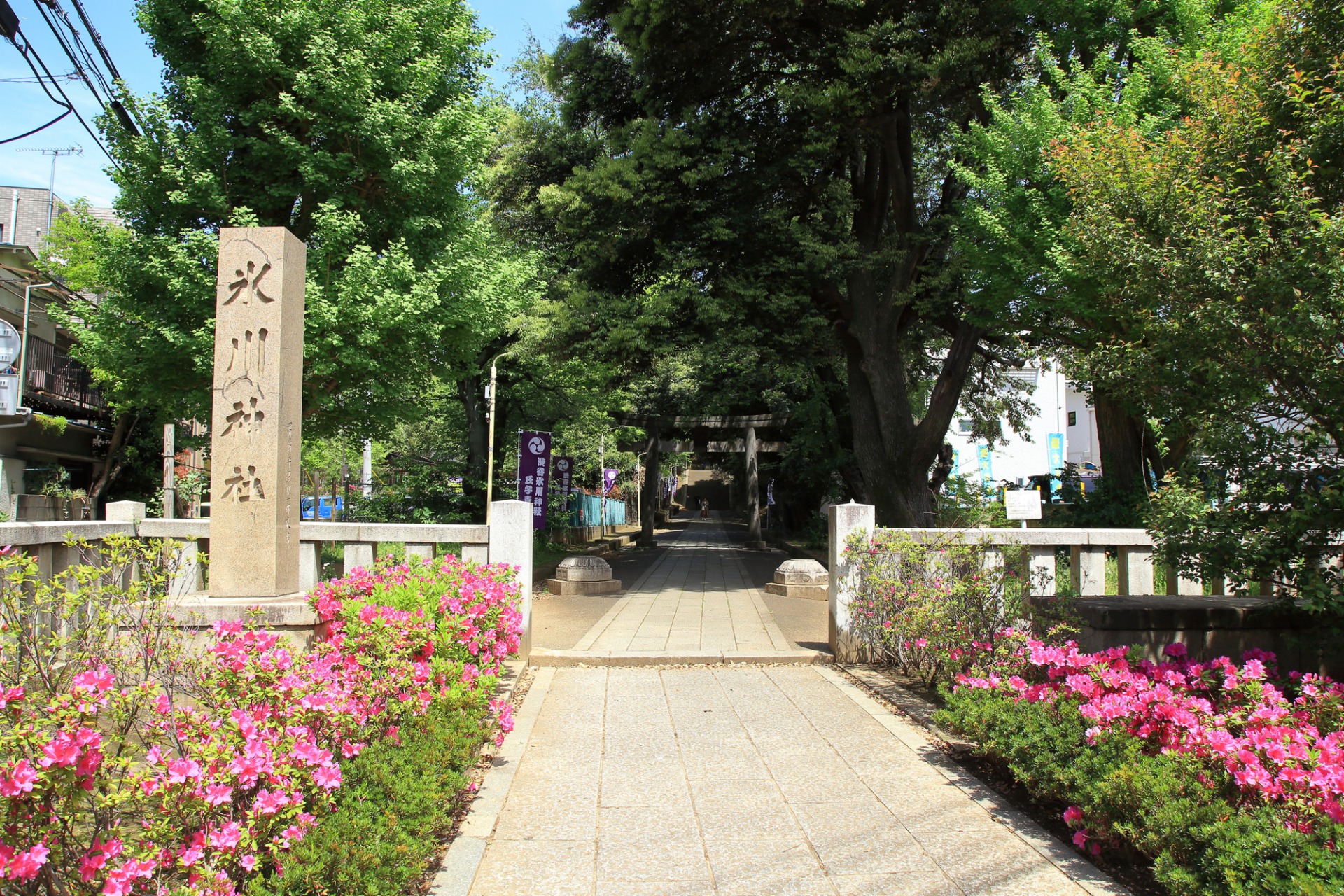 渋谷氷川神社