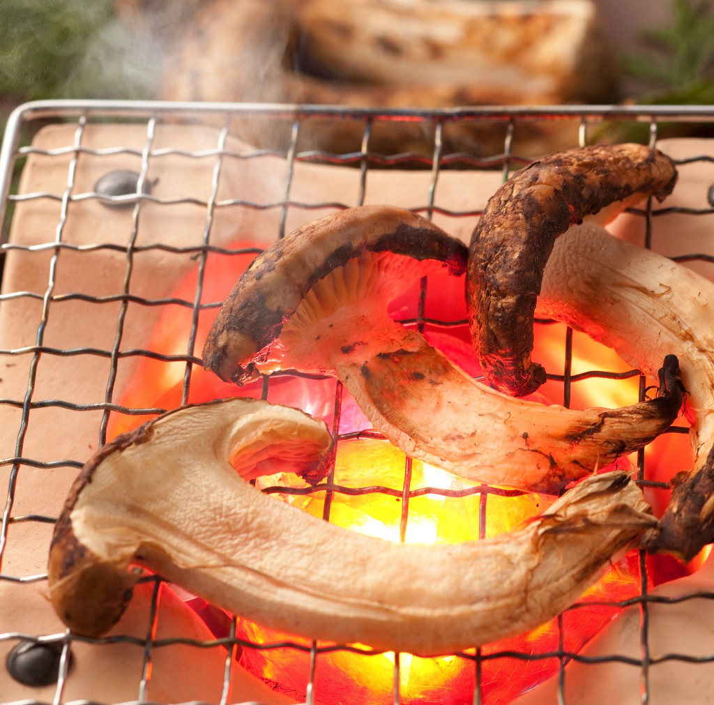 焼き松茸