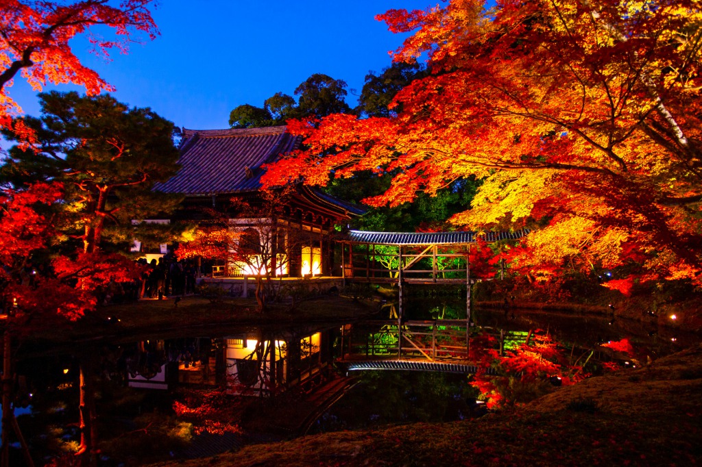 高台寺ライトアップ