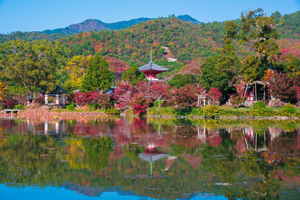 大覚寺