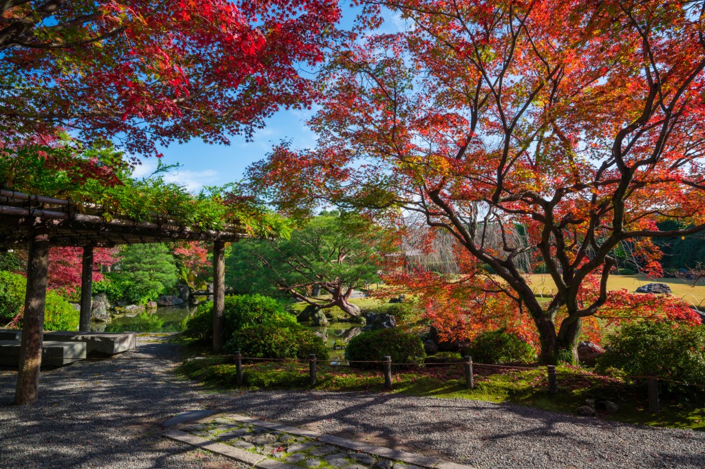 城南宮の紅葉　室町の庭　