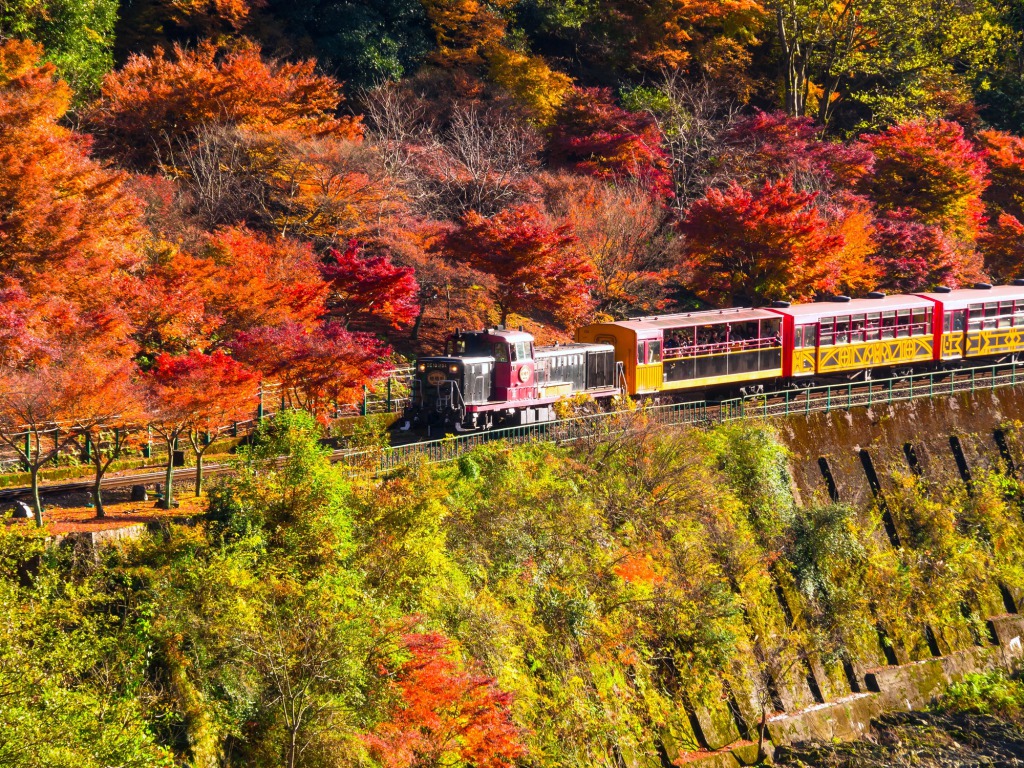 嵯峨野トロッコ列車