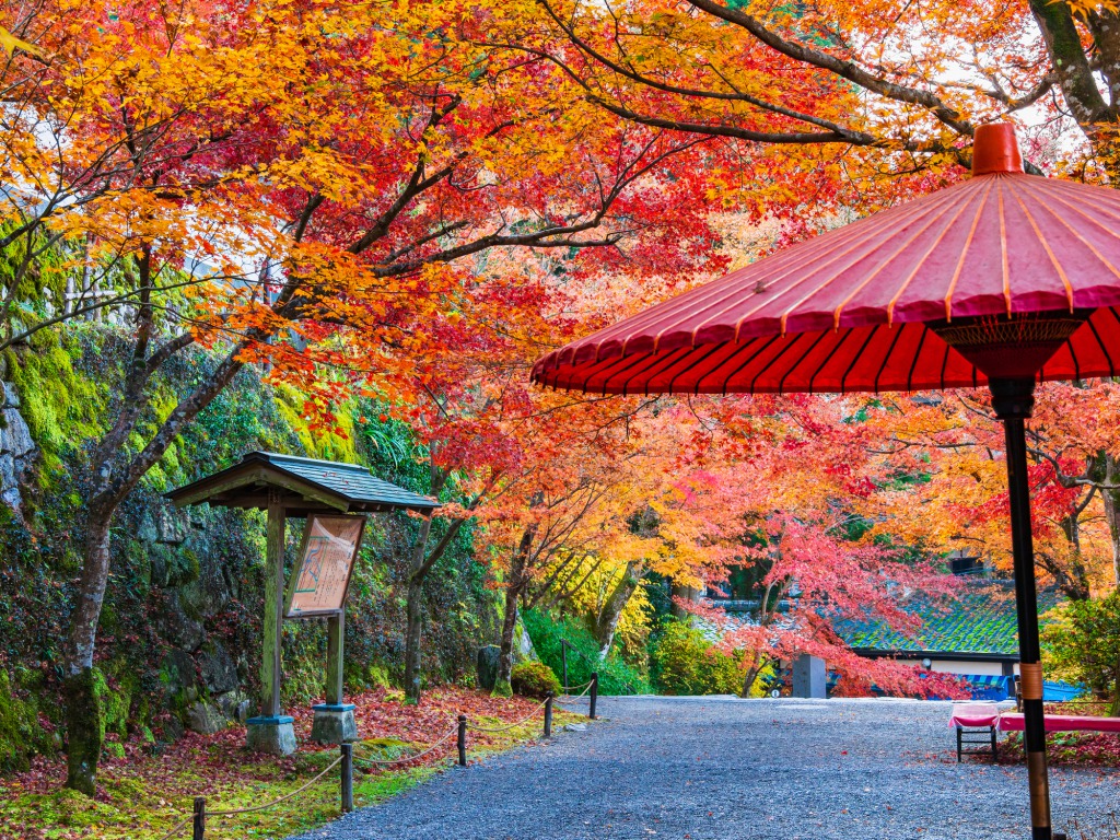 三千院参道