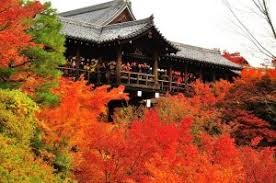 京都,紅葉,瓢斗